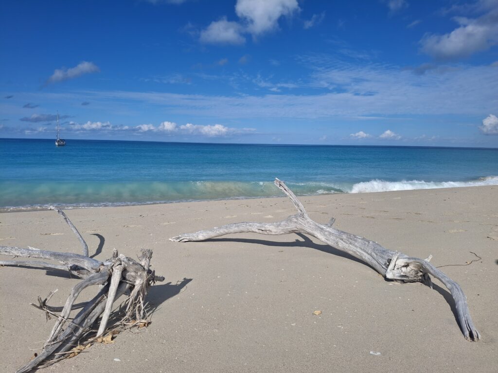 Chapter 18 – Zwischen Superyachten und Sauerteig – Antigua & Barbuda