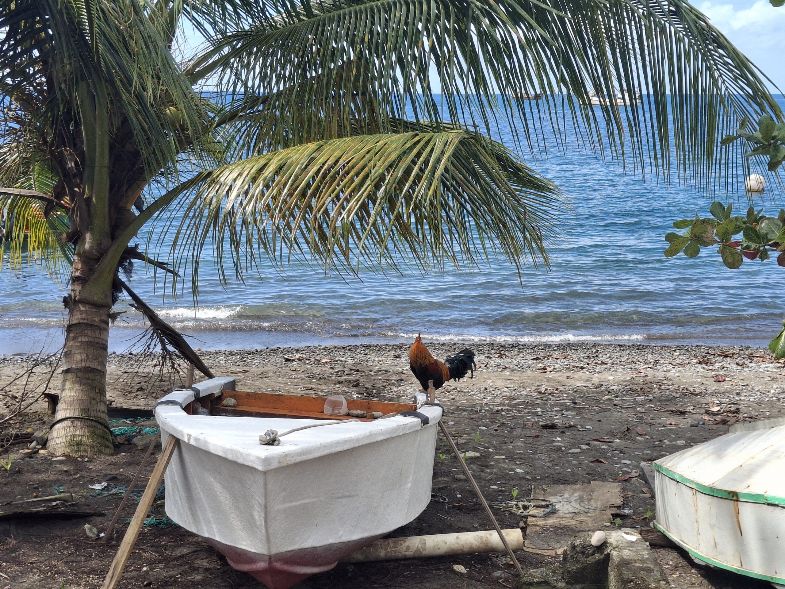 Chapter 19 – zwischen Euro, Dollars, Dschungel und Macheten