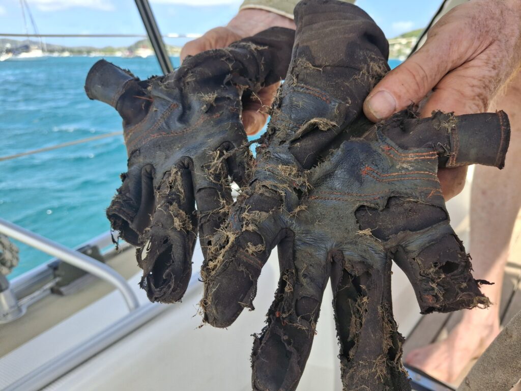 Chapter 20 – Ein Jahr unterwegs – Zwischen Mangroven, Masten und Momenten – es wird weitergehen